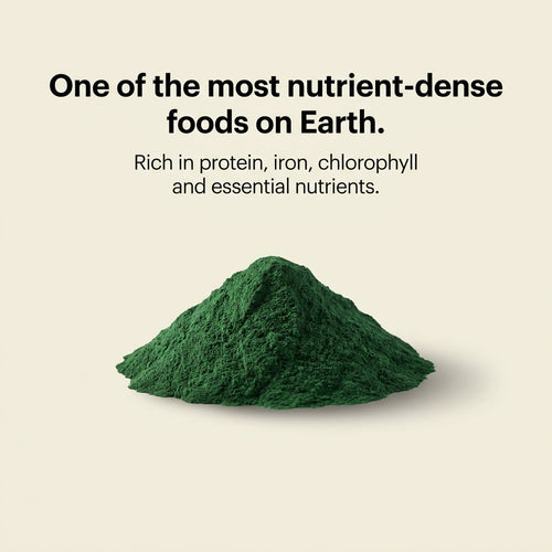 Australian Freeze Dried Spirulina